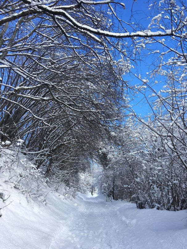 Winter im Pitztal